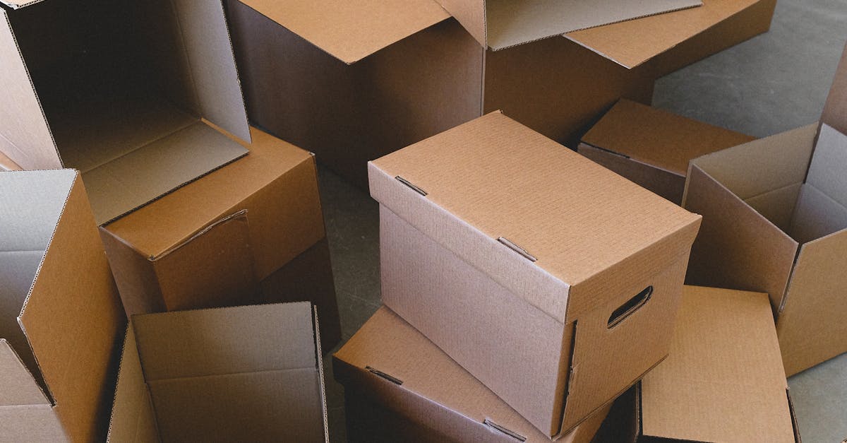 Things to do and places to visit in Almeda, Houston