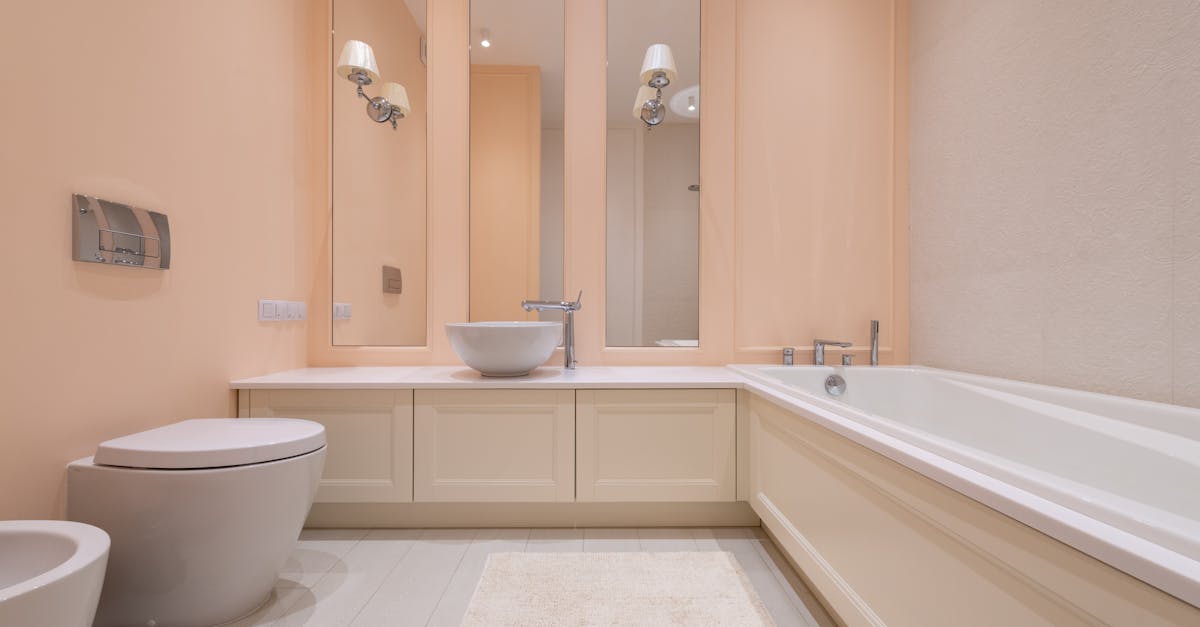 Things to do and places to visit in Conroe, Texas