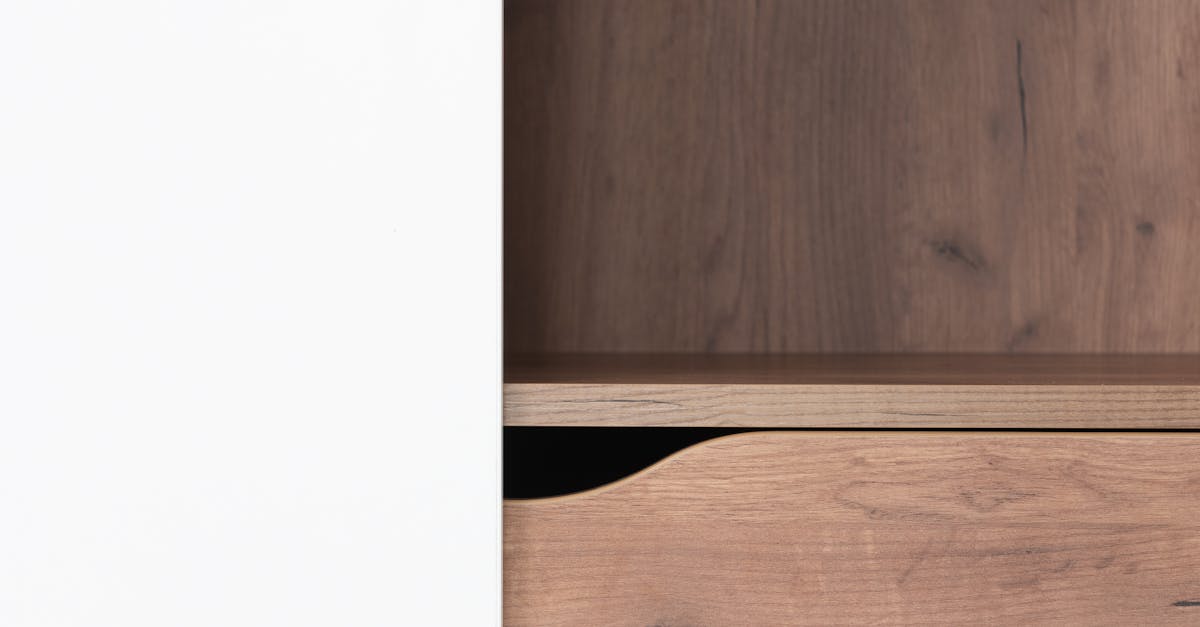 Things to do and places to visit in First Colony, Sugar Land