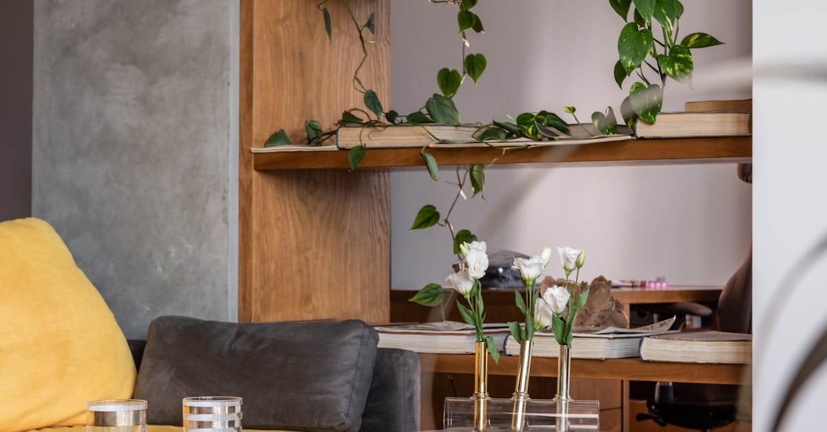 Things to do and places to visit in Minnetex, Houston