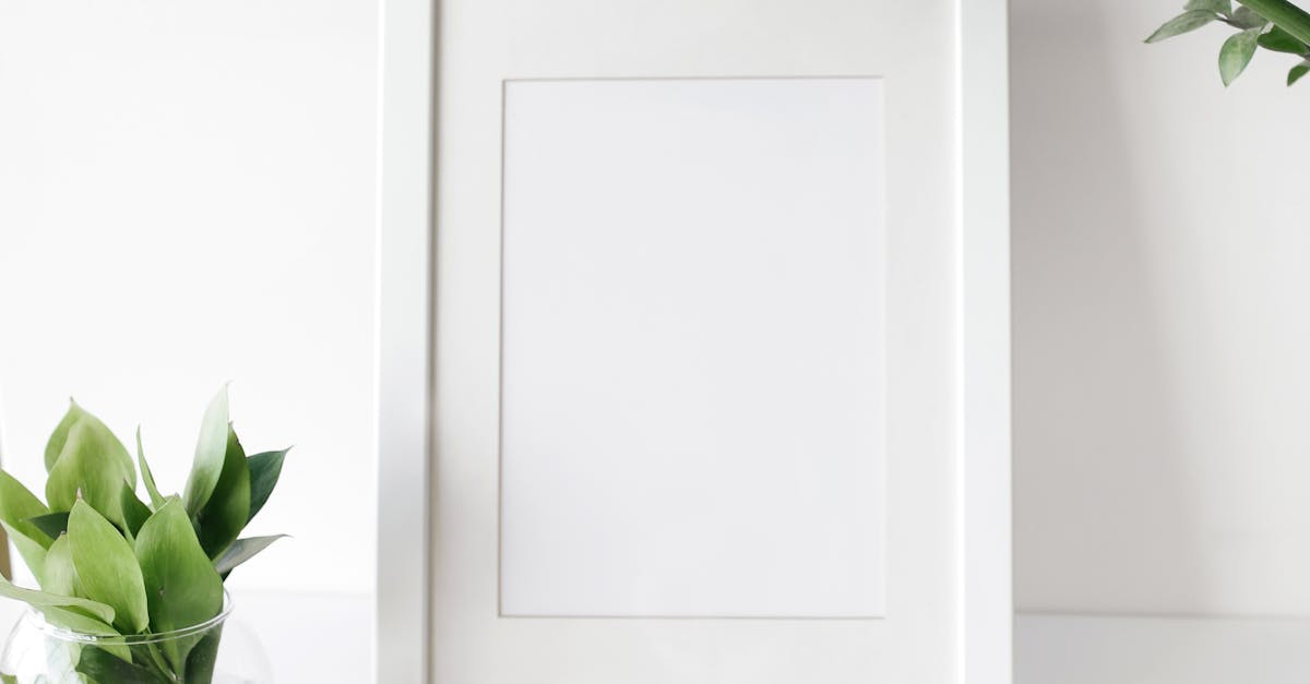 Things to do and places to visit in Myrtle, Houston