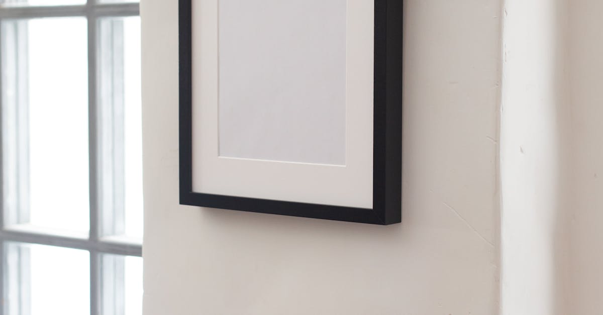 Things to do and places to visit in South Lawn, Houston